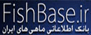تبلیغات